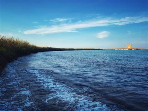 nudi gay|Torre Guaceto Naturist Beach 